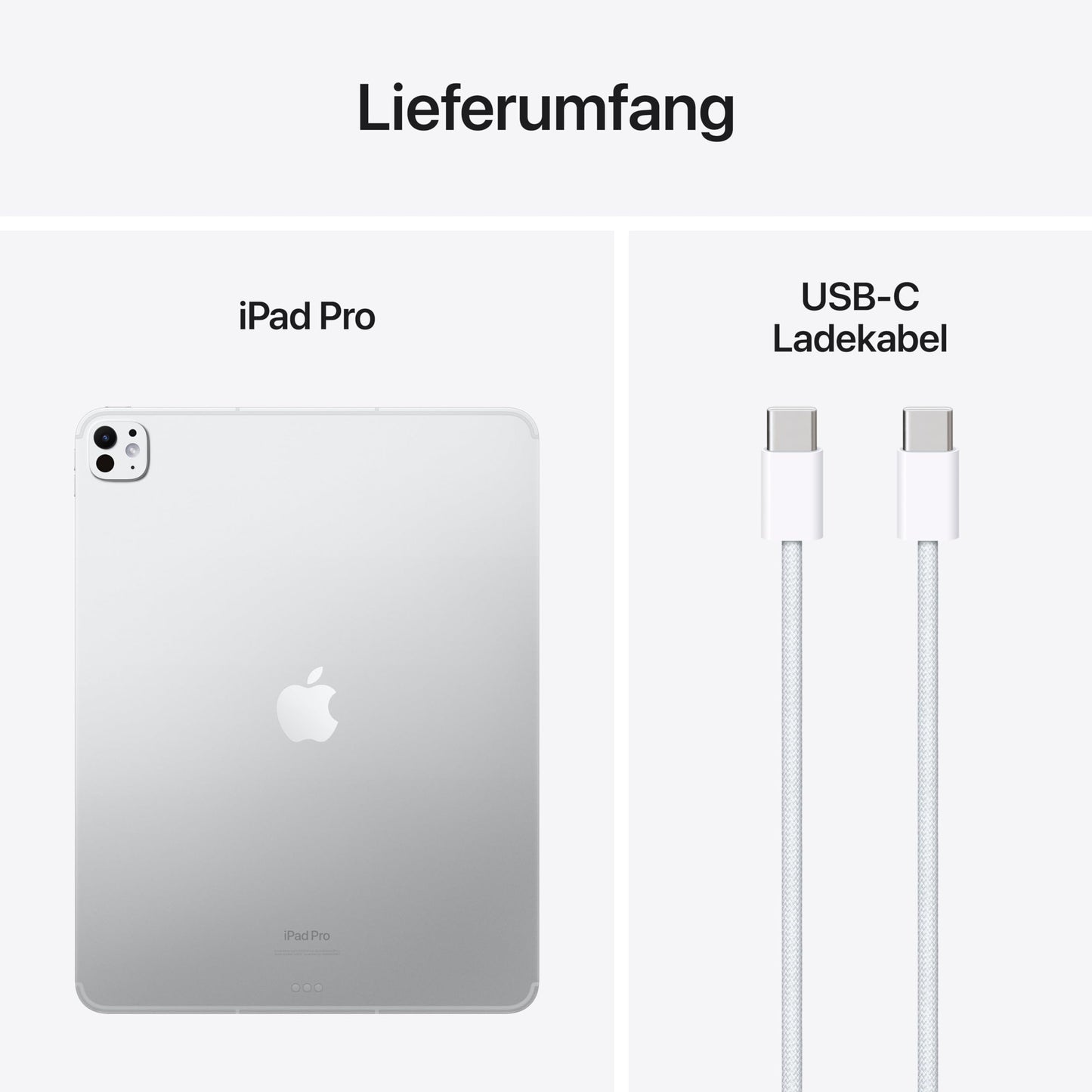 Apple 13" iPad Pro (M4): Ultra Retina XDR Display, 256 GB, 12 MP Querformat Frontkamera/12 MP Rückkamera, LiDAR Scanner, WLAN 6E und 5G Mobilfunk mit eSIM, Face ID, Standardglas – Silber