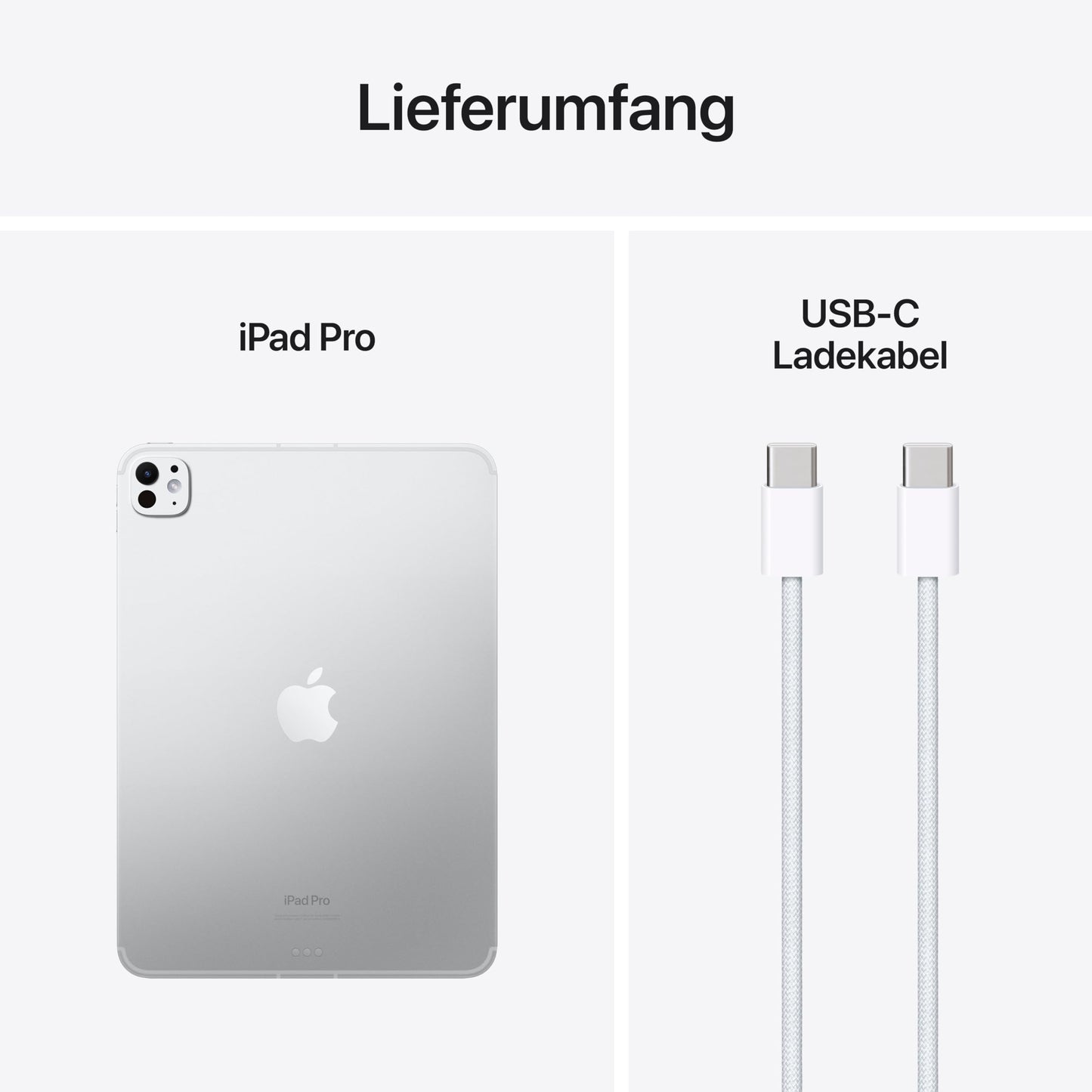 Apple 11" iPad Pro (M4): Ultra Retina XDR Display, 256 GB, 12 MP Querformat Frontkamera/12 MP Rückkamera, LiDAR Scanner, WLAN 6E, Face ID, Batterie für den ganzen Tag, Standardglas – Silber