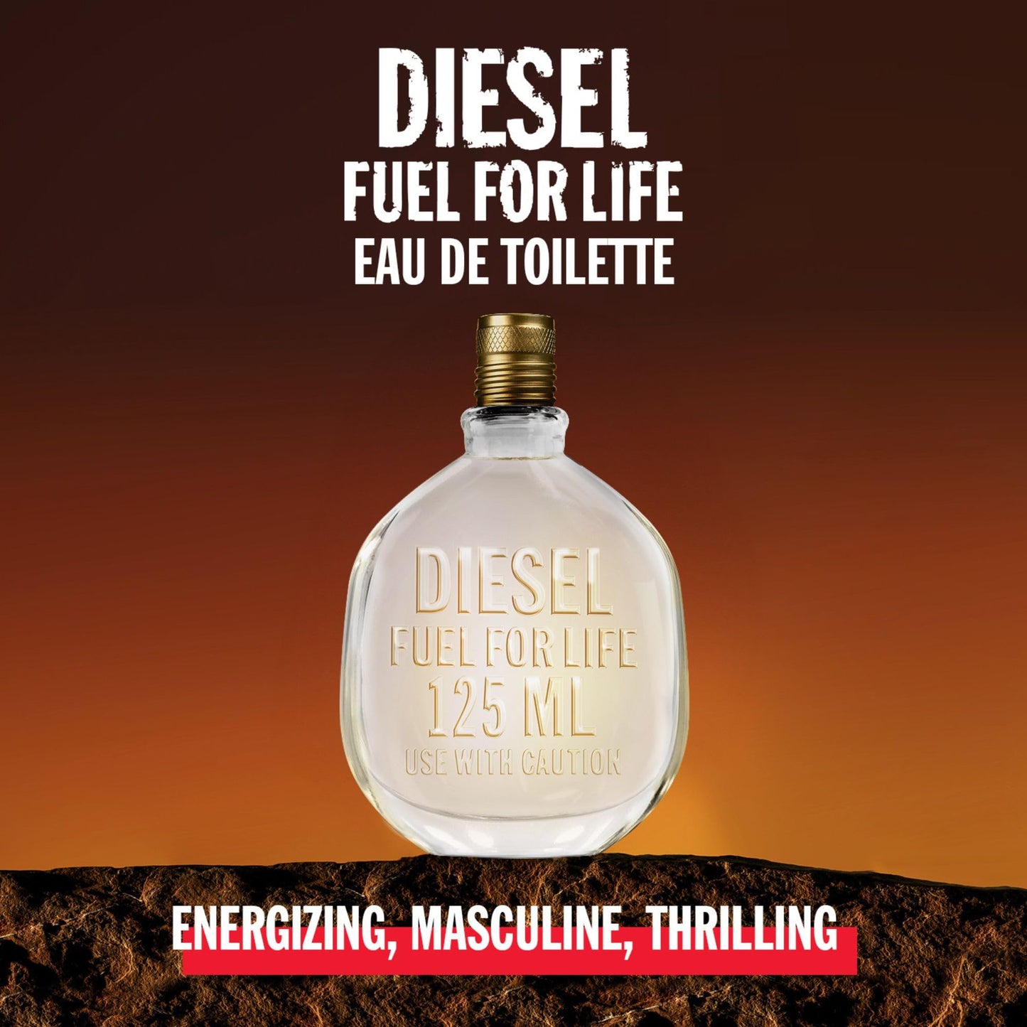 Diesel Fuel For Life Parfüm Herren| Eau de Toilette| Männer Parfum| Parfume Men| Herrenparfum| Diesel Parfum Männer| Natural Spray| Frischer und holziger Duft