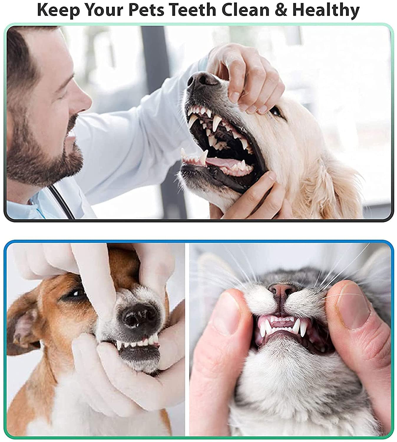 YSCARE Zahnsteinentferner Zahnsteinentferner Hund Zahnreiniger Doppelkopf Zahnpflege Set Dental 2er Professionelle Zahnreinigung Zahnsteinentferner Zahnsonde Scaler Aus Edelstahl Haustierfreundlich