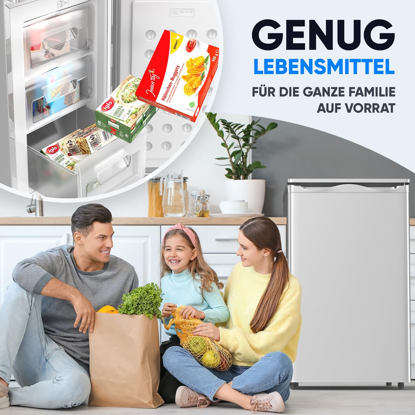 Stillstern Gefrierschrank E (73L) 4-Sterne-Gefrierfach -18°C, geringer Energieverbrauch, 3 Fächer, stufenlos regelbare Temperatur, wechselbarer Türanschlag, Gefrierschrank Klein, Tiefkühlschrank